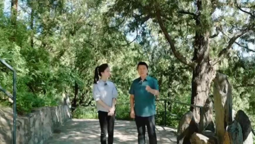 F1A练习赛严重事故,看澳门最快开奖,最新正品解答落实_测试版V3.35