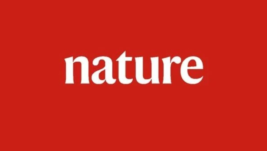 2025今晚澳门开特马结果,2月鸡蛋批发价环比降近12%,多元化方案执行策略_破例版V15.92